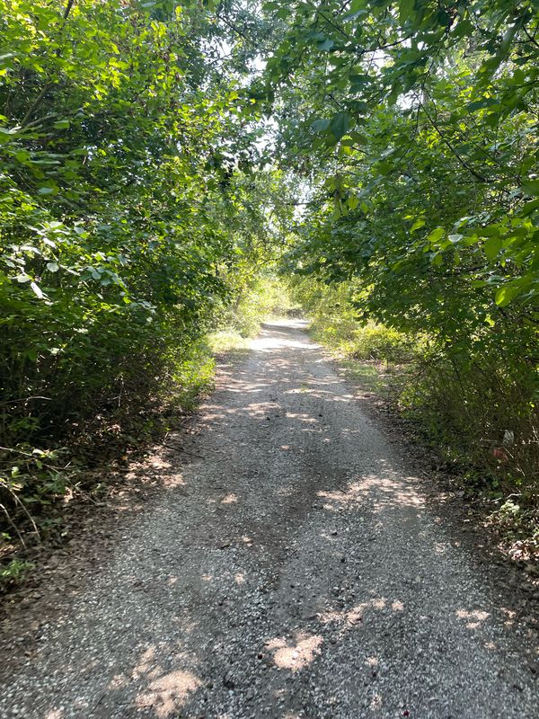 R1203, Teartse to Djepchishte, Tetovo