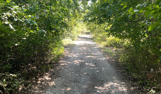 Photo 2 de l’itinéraire Bikemap « R1203, Teartse to Djepchishte, Tetovo »