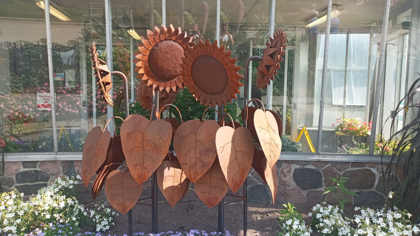 Guelph Street, Halton Hills to Steeles Avenue East 370, Brampton