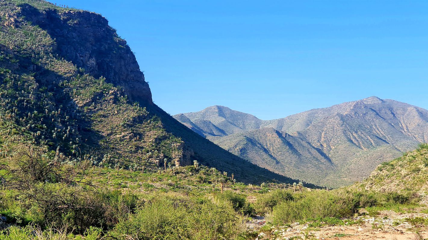 Ahora si, verdadera bici de montaña
