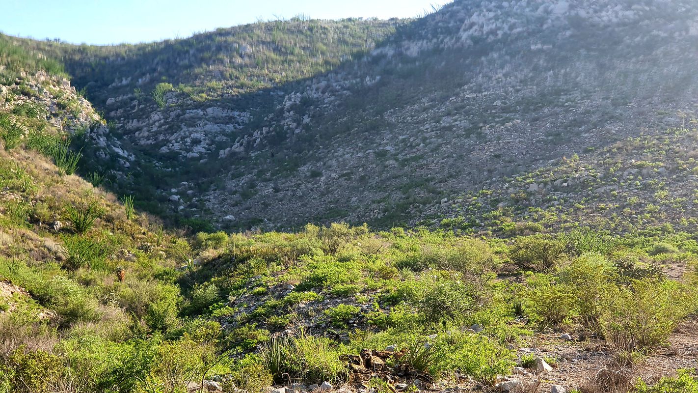 Ahora si, verdadera bici de montaña