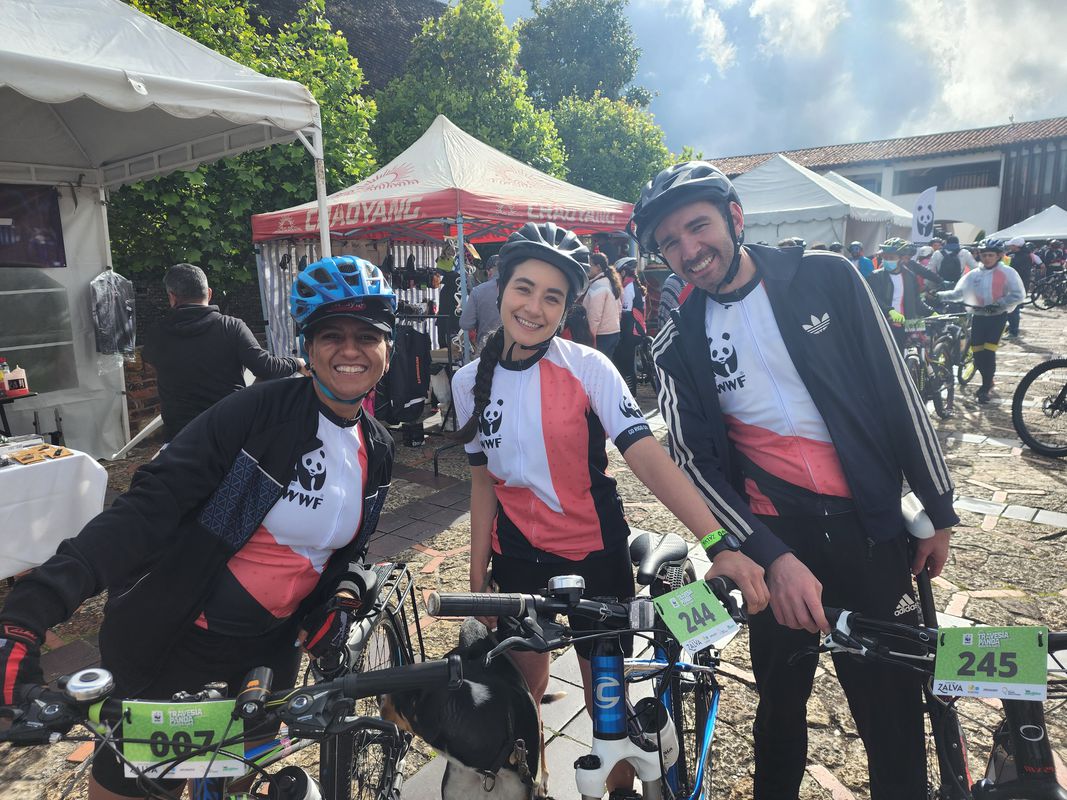 Ruta de Panda 🐼
