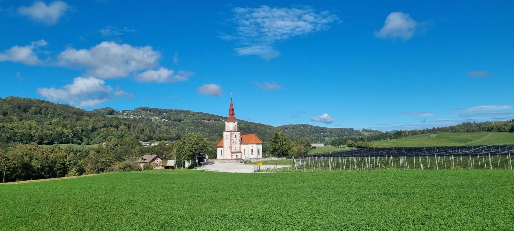 Otočec ogled vinogradov in sadovnjakov