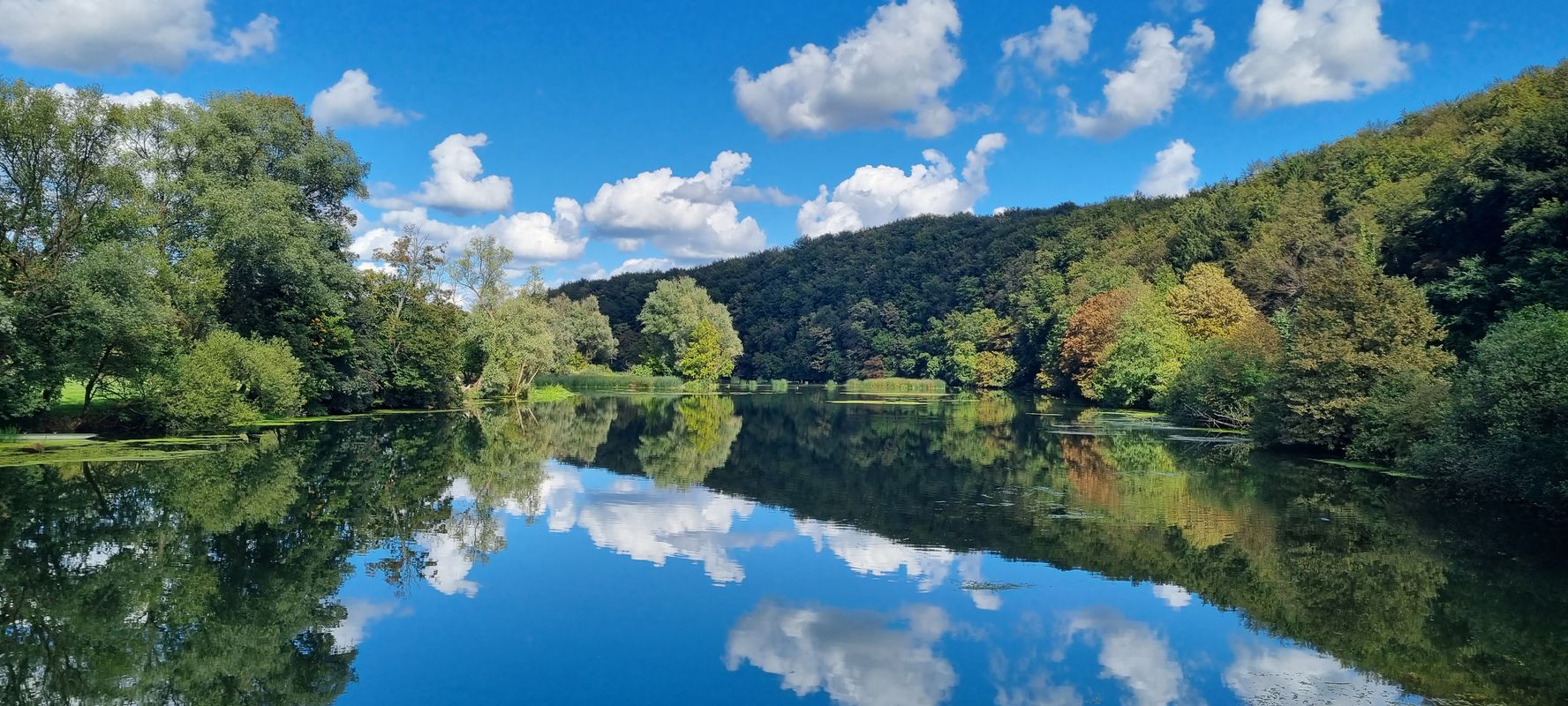 Krka sanjava