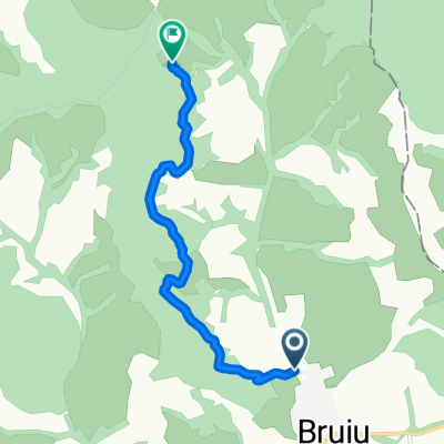 Pe langa Bruiu