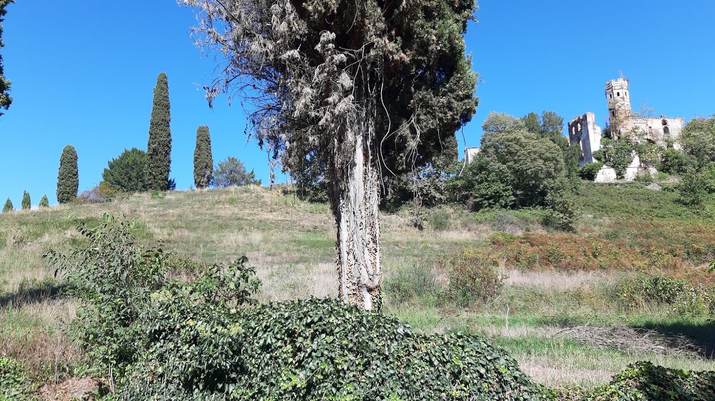 L'oro della Baraggia e l'oro della Bessa