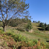 Piscina - Casa Canada
