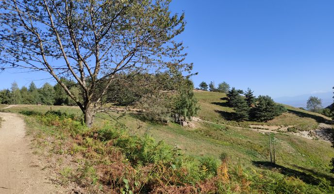 Photo 1 de l’itinéraire Bikemap « Piscina - Casa Canada »