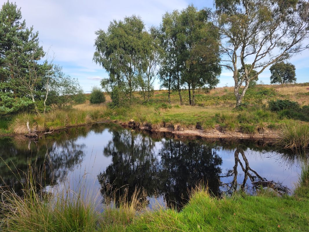 Unnamed Road, Brocton to Unnamed Road, Brocton