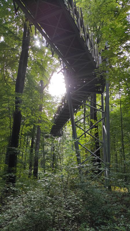 Bad Rohtenfelde - Bad Iburg