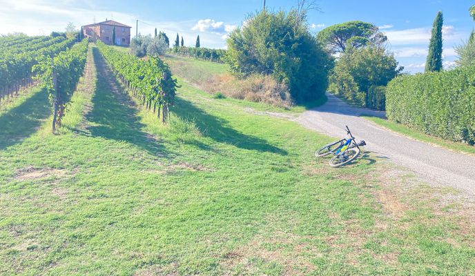 Photo 1 of the Bikemap route "ruotesagge.com fields of gold classic"