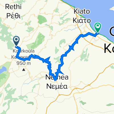 Day 6