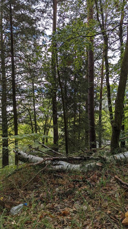 Ulmenring 17, Fürstenwalde/Spree nach Ulmenring 34, Fürstenwalde/Spree