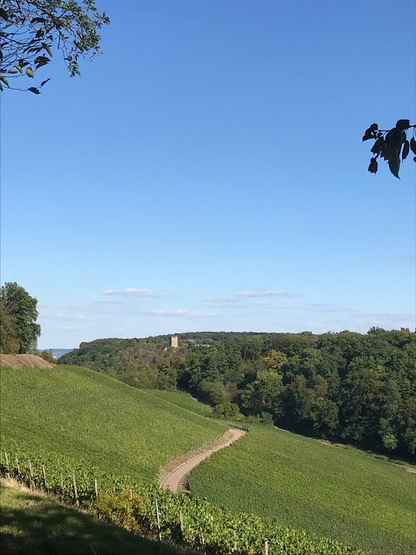 FDR Leingarten Bf - N'gartach - HN - Lauffen aN - Neipperg - Kleingartach - Schwaigern - Leingarten Bf