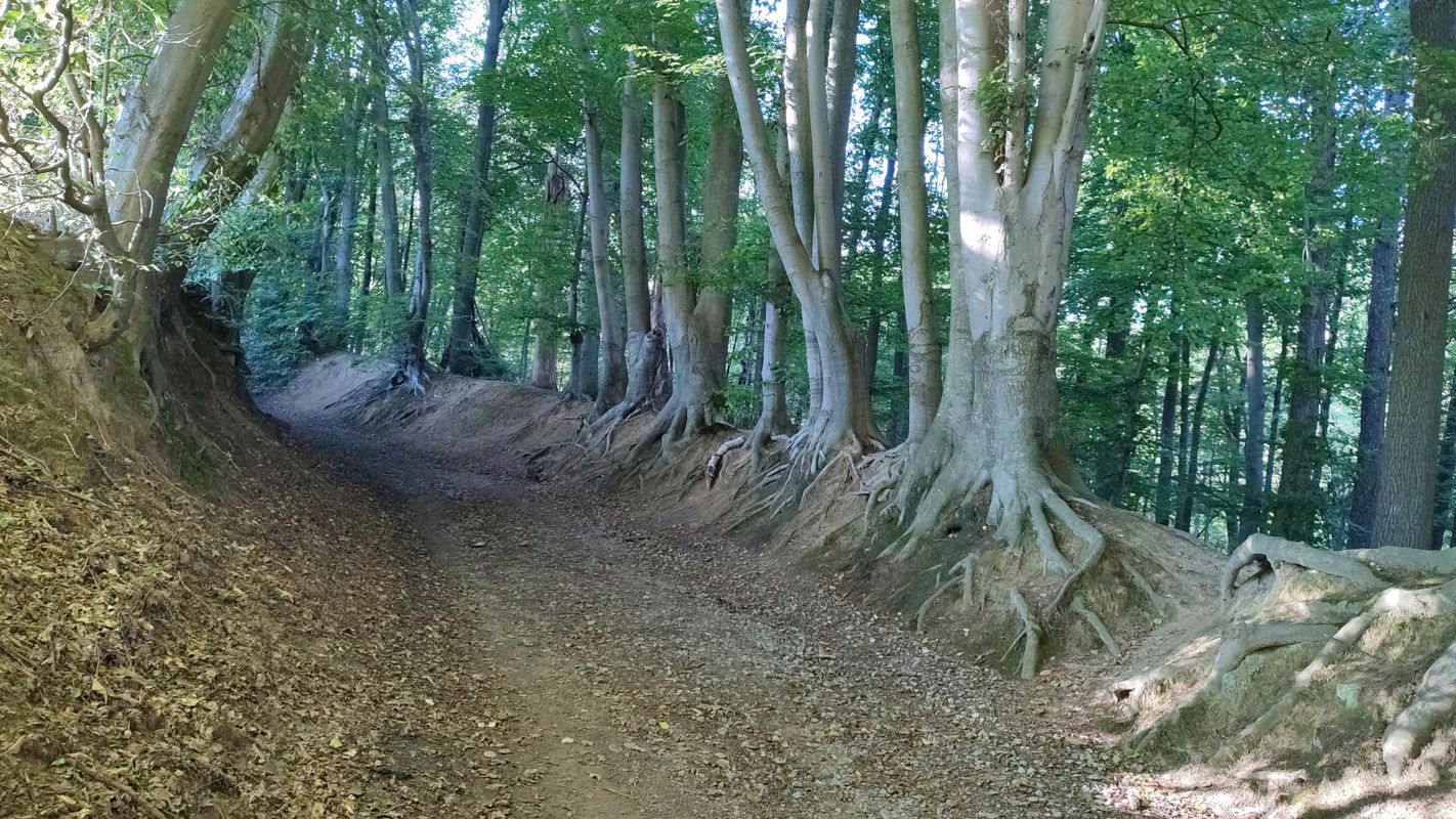 Montzen to Geilenkirchen