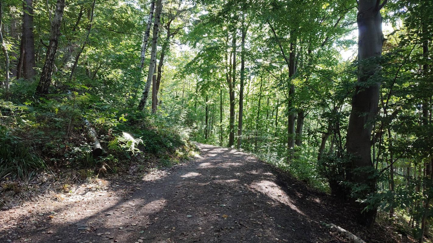 Montzen to Geilenkirchen