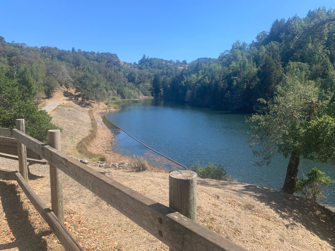 Phoenix Lake Rd, Kentfield to 166 Riviera Dr, San Rafael