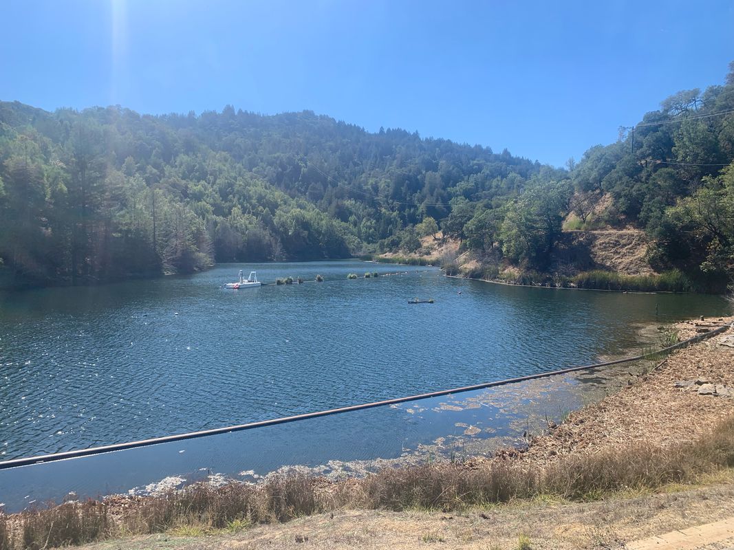 Phoenix Lake Rd, Kentfield to 166 Riviera Dr, San Rafael