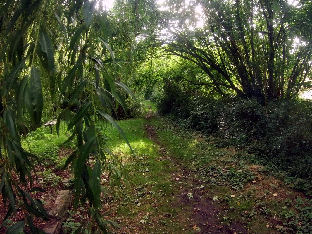 Heckl-Löderb.See-Güsten