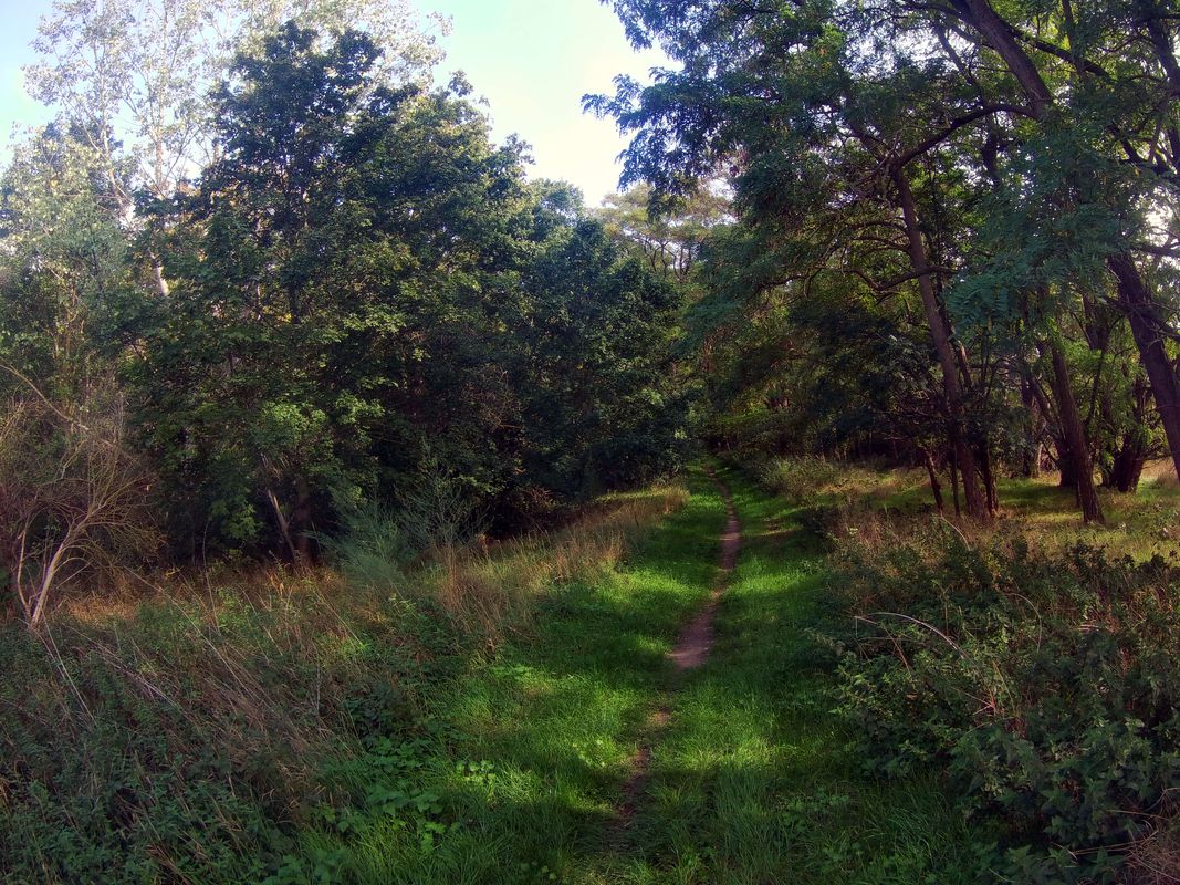 Heckl-Löderb.See-Güsten