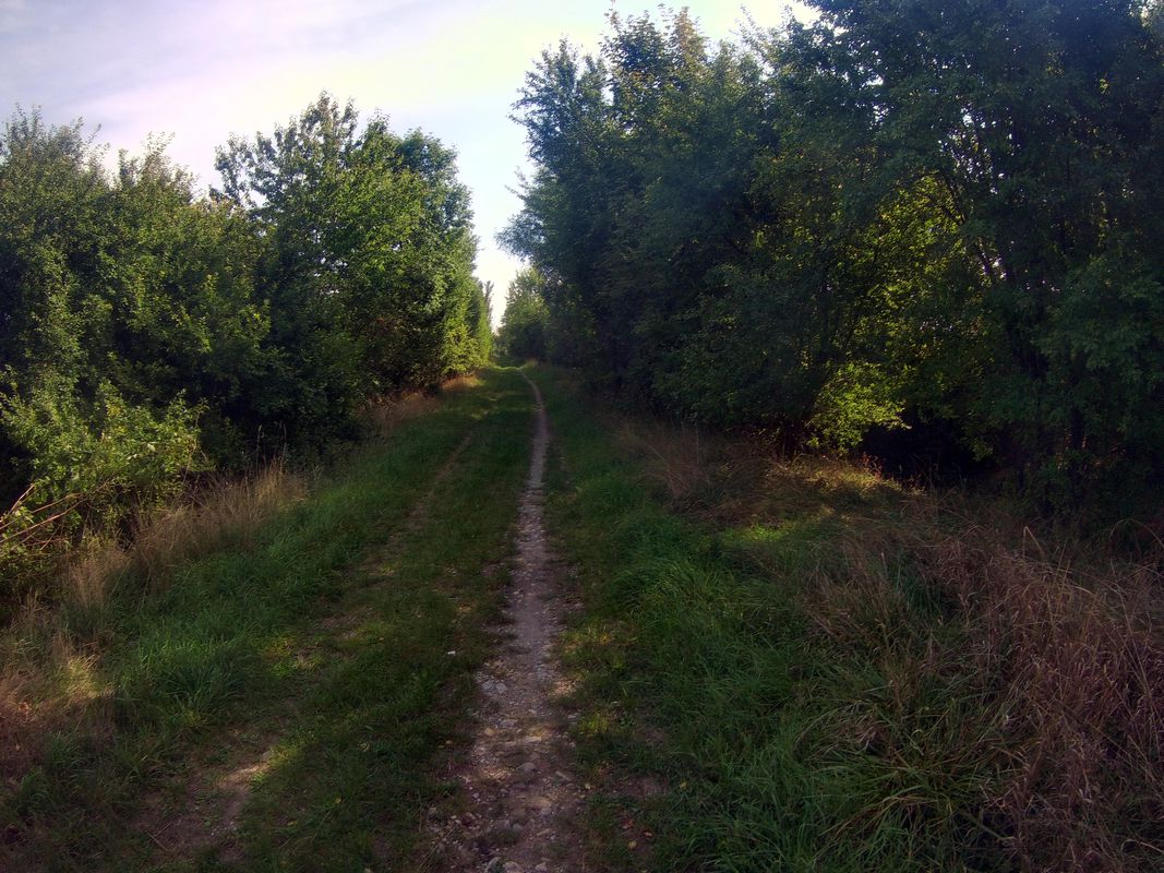 Heckl-Löderb.See-Güsten