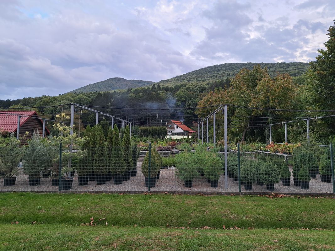 ulitsa "Trapezitsa" 58, Targovishte to ulitsa "Trapezitsa" 51, Targovishte