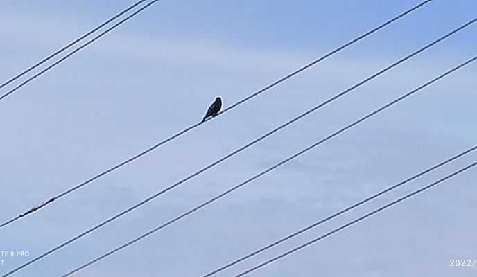 Zdjęcie 1 trasy Bikemap „Route to 32C3+854, Velayuthampalayam”