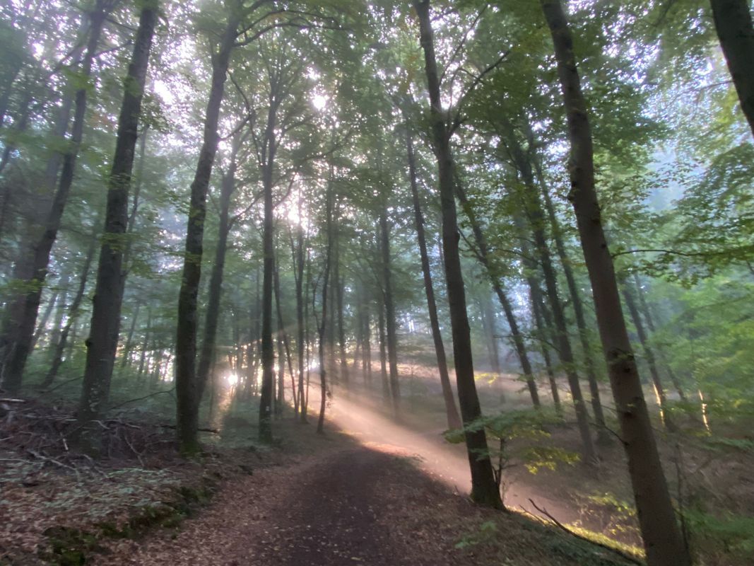 Chemin de Steinsel 25B, Kopstal to Chemin de Steinsel 25A, Kopstal