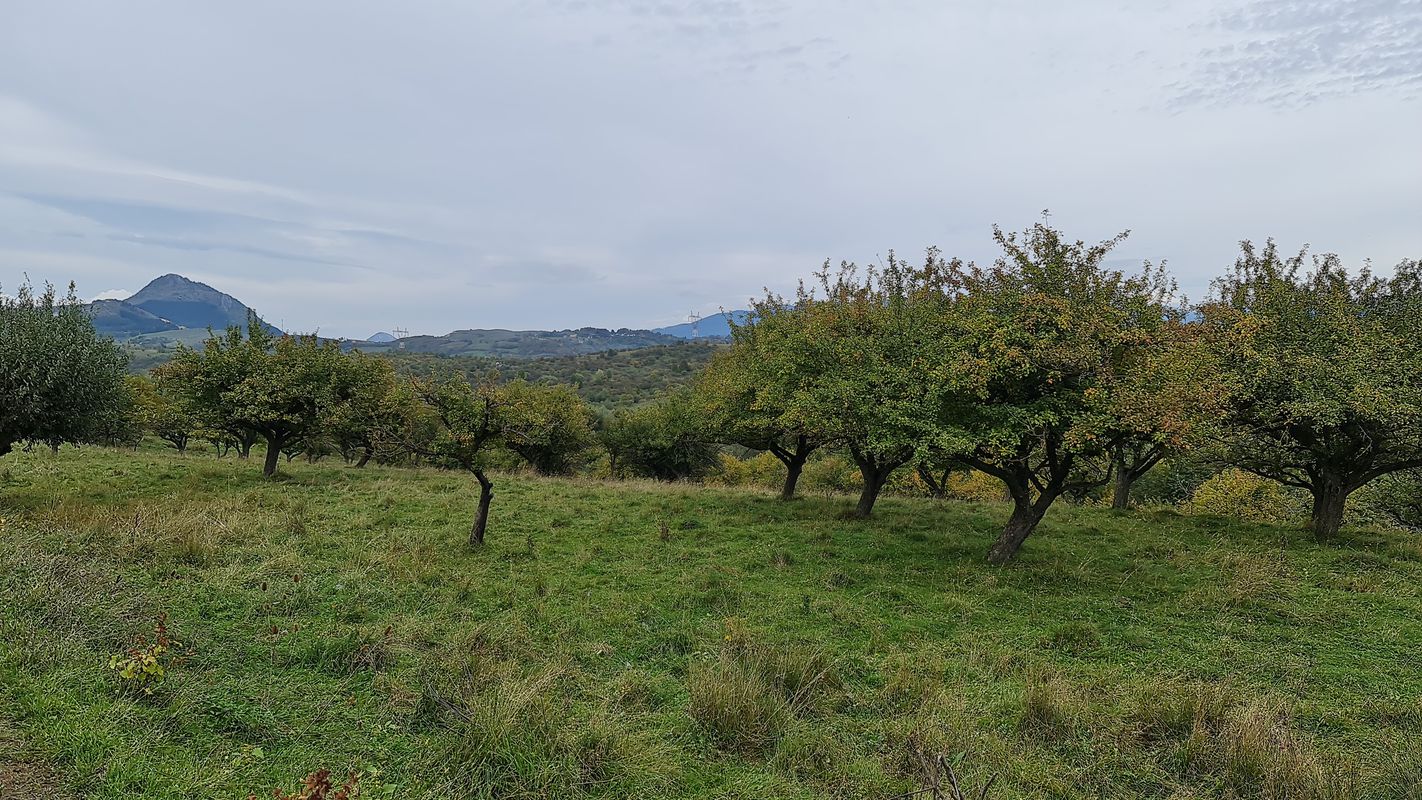 Strada Ion Pillat 10, Mioveni to Strada Unirii 4, Mioveni