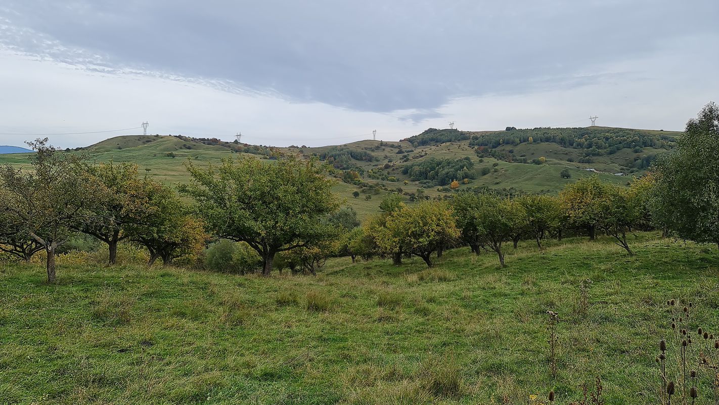 Strada Ion Pillat 10, Mioveni to Strada Unirii 4, Mioveni
