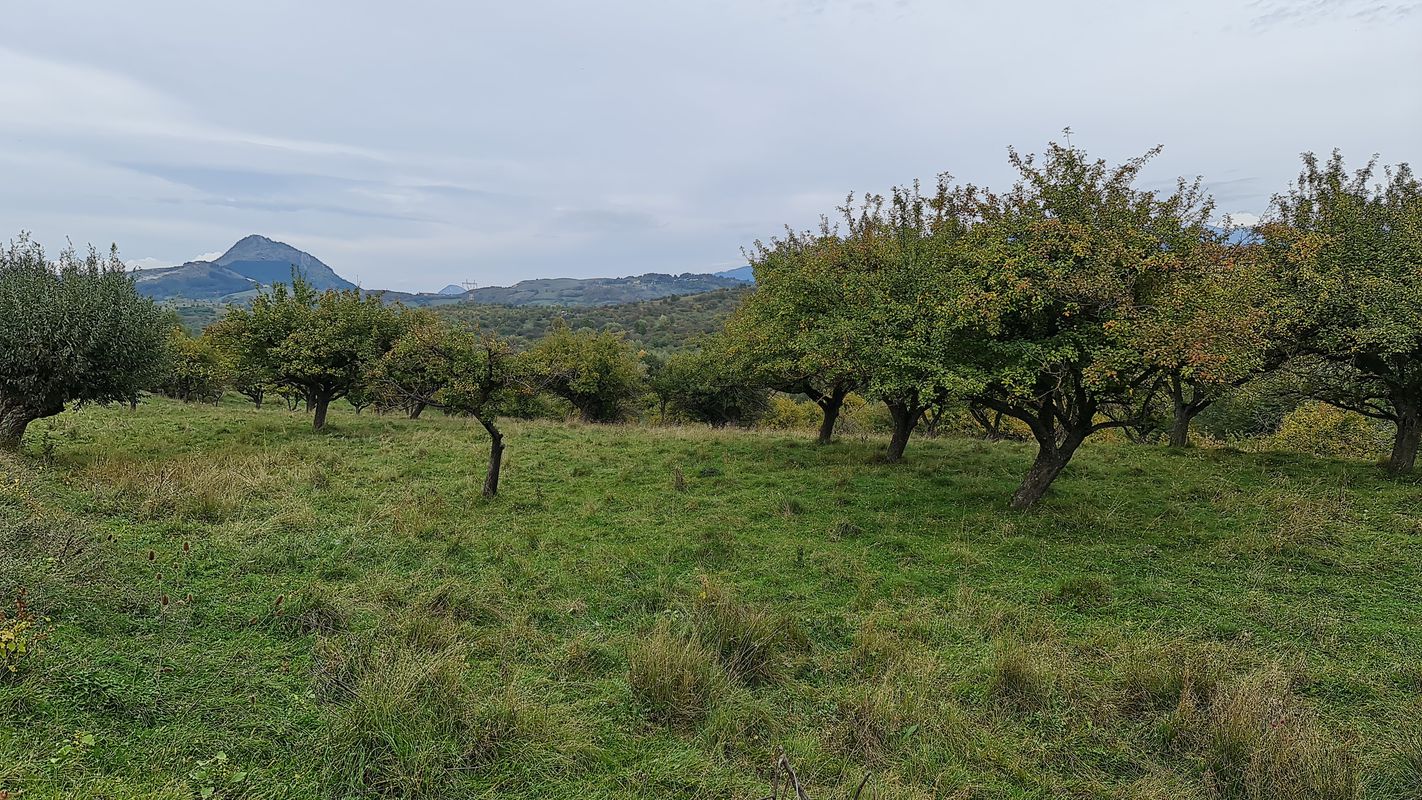 Strada Ion Pillat 10, Mioveni to Strada Unirii 4, Mioveni