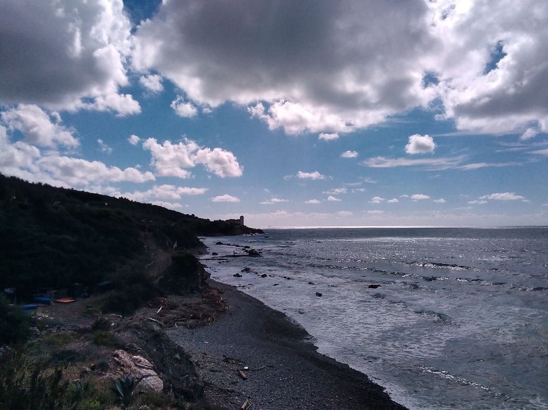 In bici da Pisa a Livorno via Litoranea (Marina di Pisa - Tirrenia - Calambrone) km. 50, 5 ore.