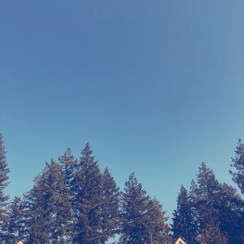 1527 247 Ave NE, Sammamish to 1526 247 Ave NE, Sammamish