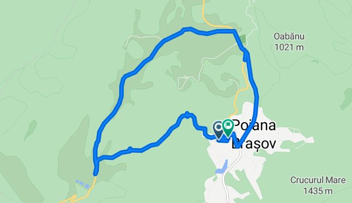 Poiana Brasov-Poiana mica Relaxant Priveliste