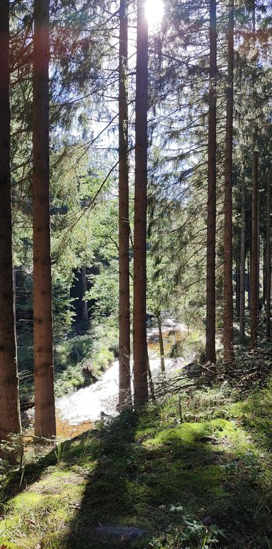 Montzen to Wesertalsperre