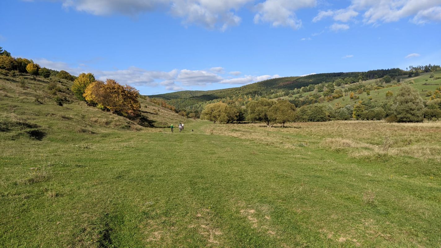 Turul lacului Padureni, Moacșa
