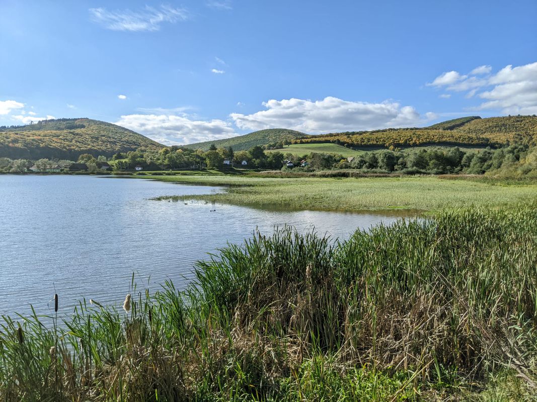 Turul lacului Padureni, Moacșa
