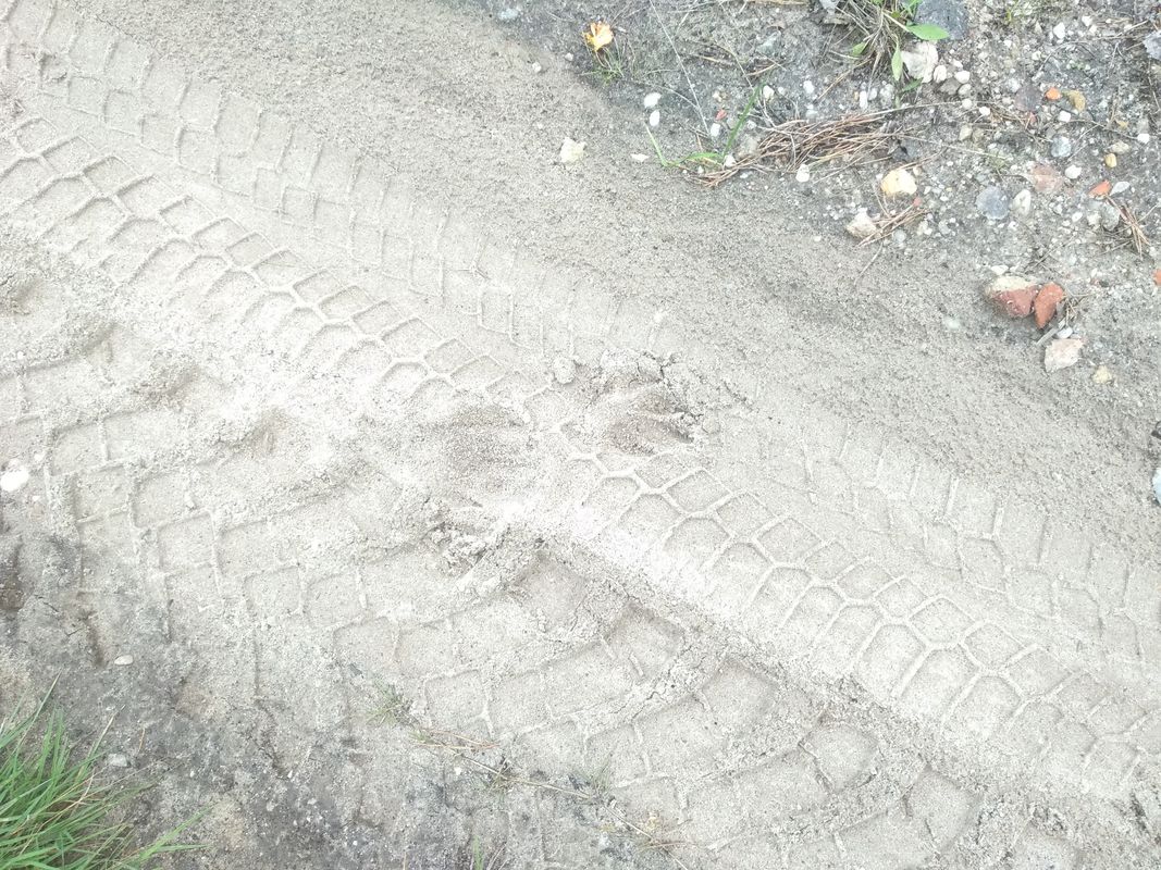 im NSG zum Bäcker u.z.