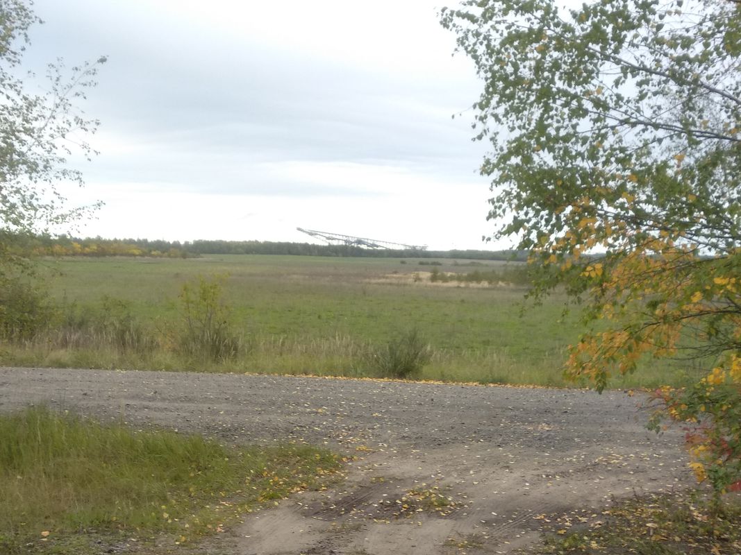 im NSG zum Bäcker u.z.