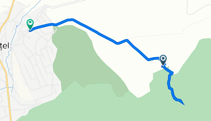 Drum fără nume, Niculițel to DJ229C 51, Niculițel
