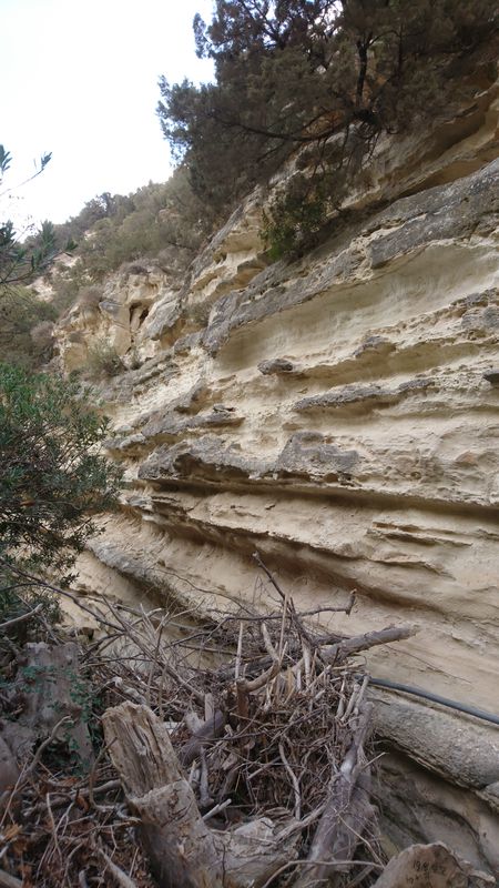 Avakas Schlucht