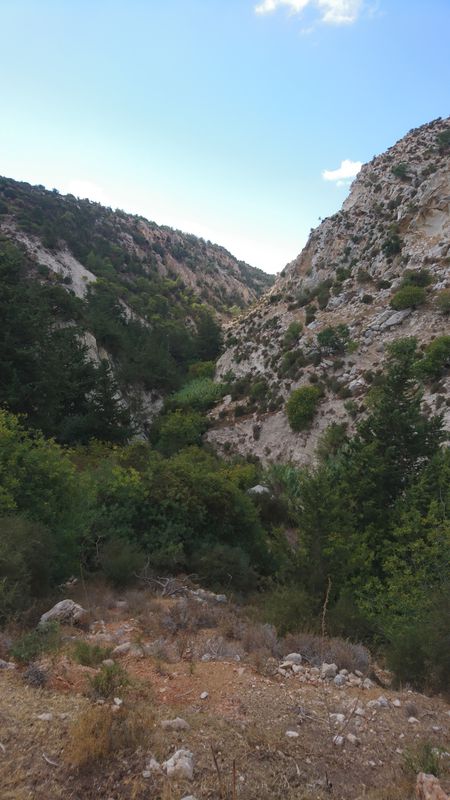 Avakas Schlucht