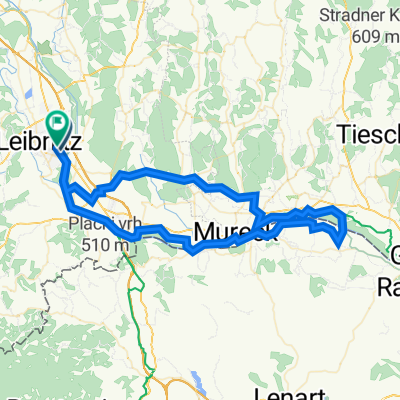 Leitring, Mozartgasse 4 - Steirerbrücke - Leitring