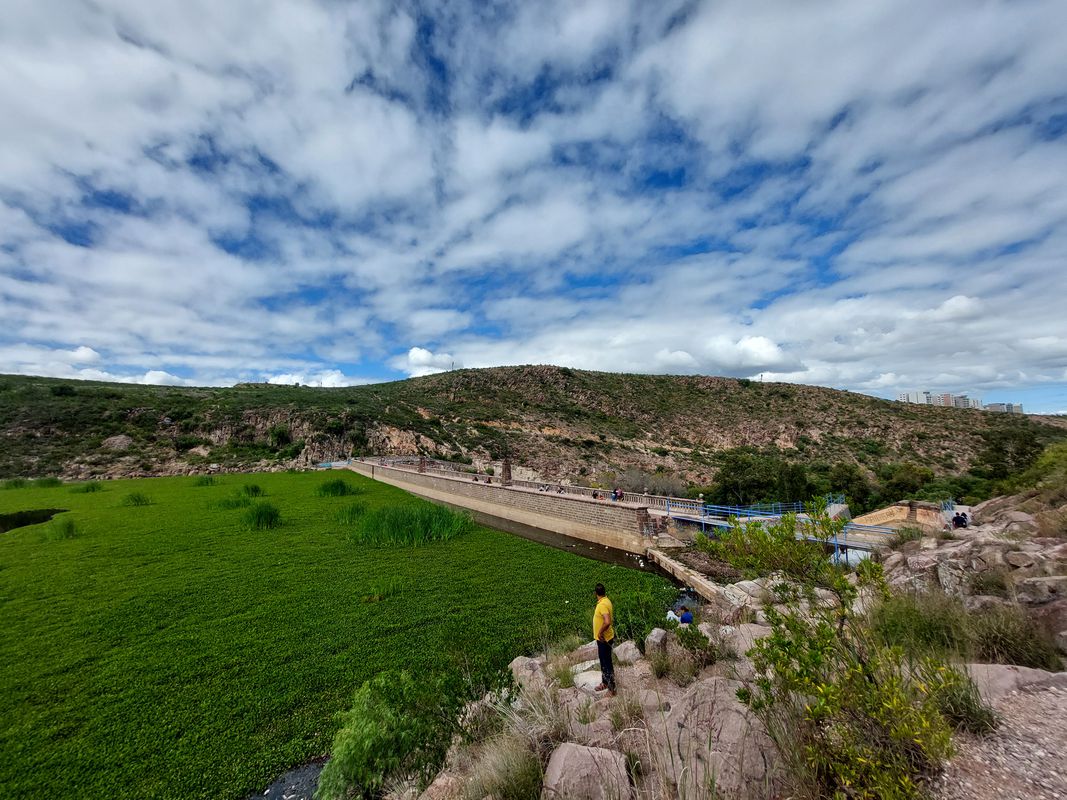 casa - presa - pitina