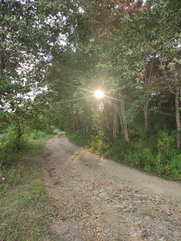 ThailandTakMae Sot to ThailandTakMae Sot