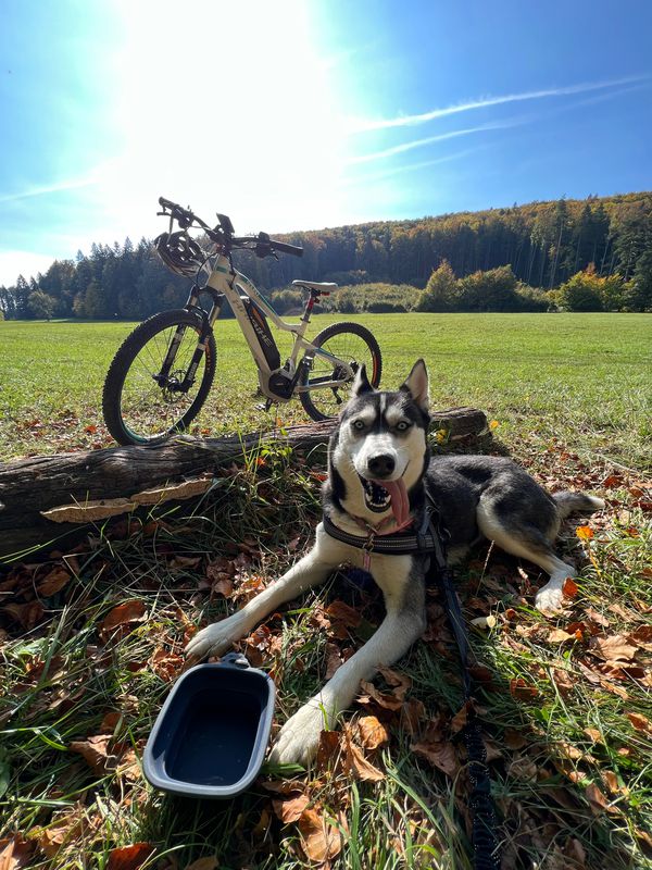 Kolačín - Trenčianske Teplice