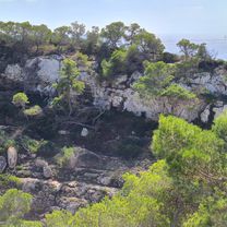 Photo 7 of the Bikemap route "Carrer de s'Espalmador S/N, Cala D'or nach Carrer de s'Espalmador S/N, Cala D'or"