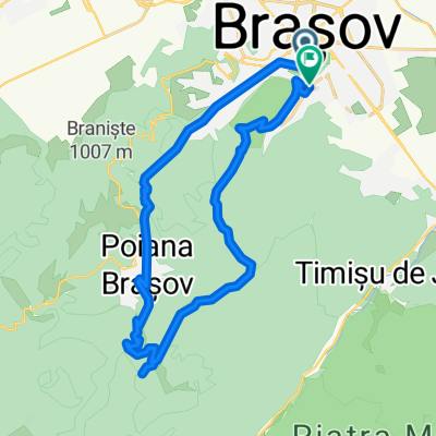 Drumul rosu, drumul albastru