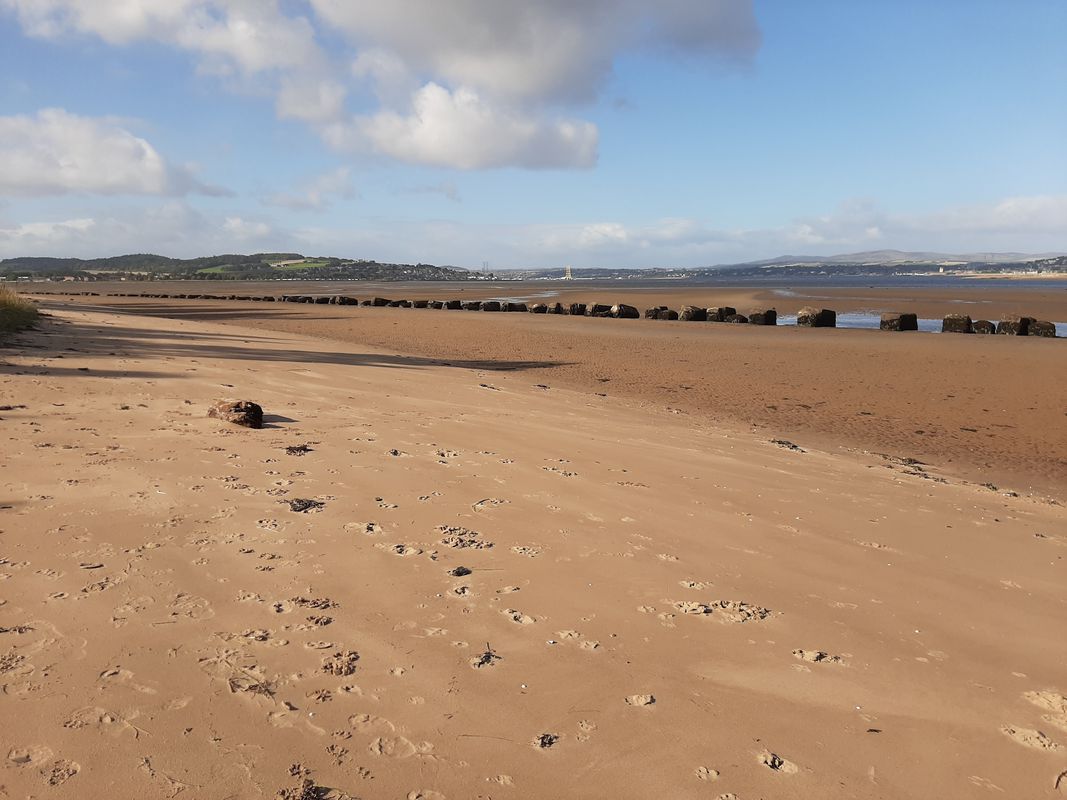 Tayport to Tentsmuir circular