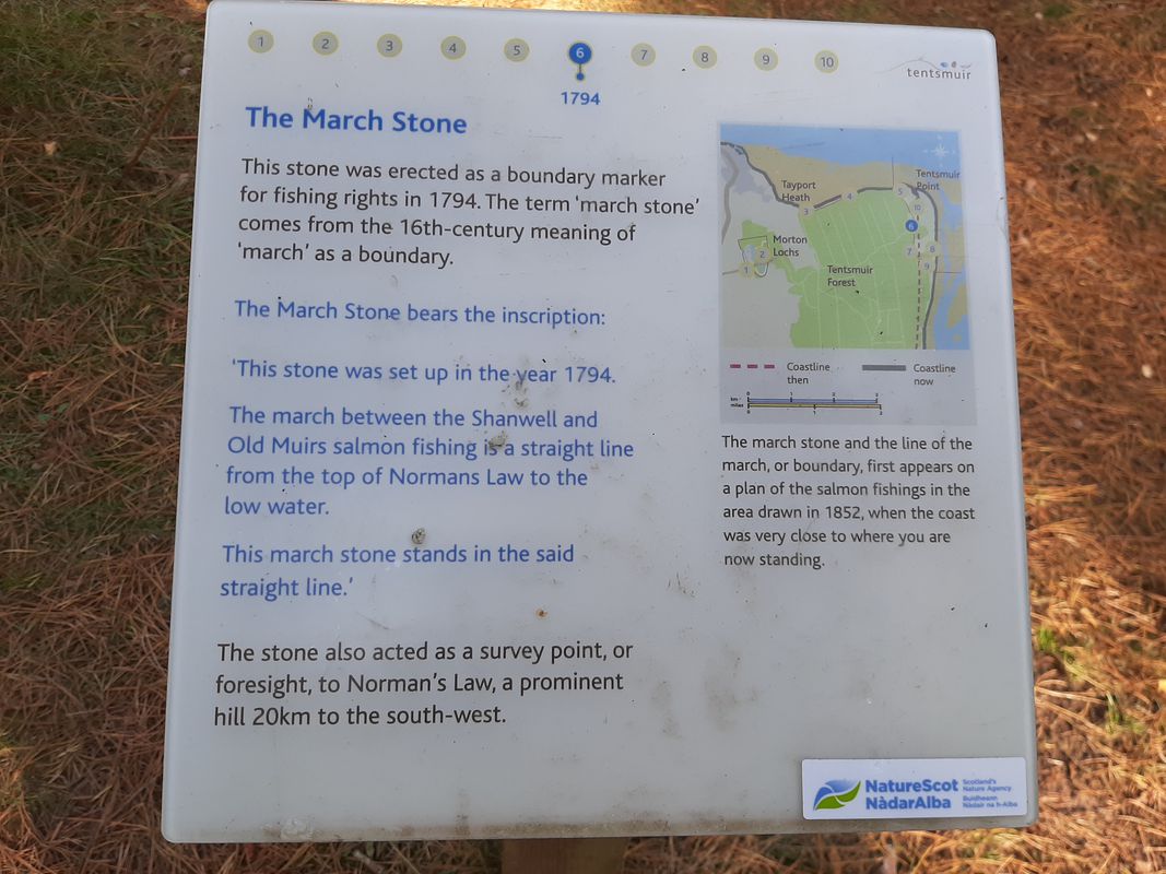 Tayport to Tentsmuir circular